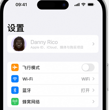 横沥镇appleID维修服务iPhone设置中Apple ID显示为灰色无法使用 