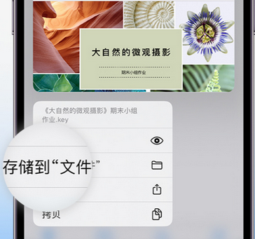 横沥镇apple维修中心分享iPhone文件应用中存储和找到下载文件