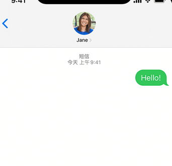 横沥镇apple维修iPhone上无法正常发送iMessage信息