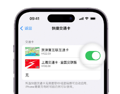 横沥镇apple维修点分享iPhone上更换Apple Pay快捷交通卡手绘卡面 