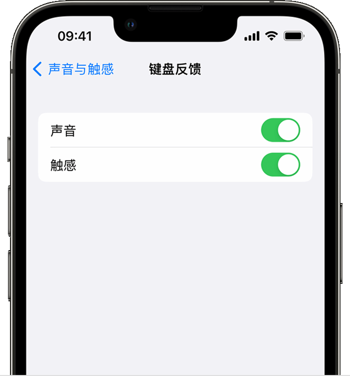 横沥镇苹果14维修店分享如何在 iPhone 14 机型中使用触感键盘 