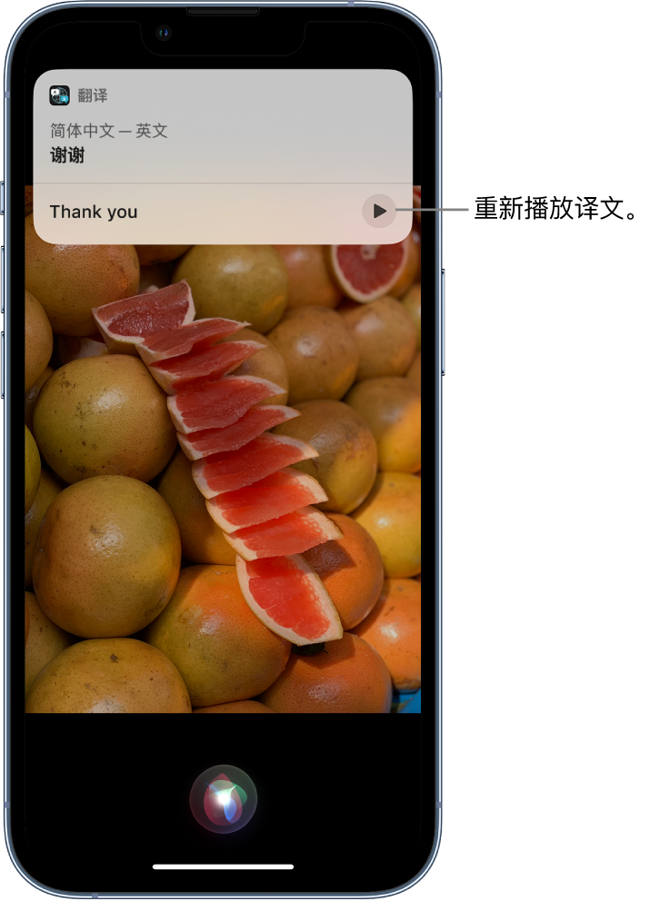 横沥镇苹果14维修分享 iPhone 14 机型中使用 Siri：了解 Siri 能帮你做什么 