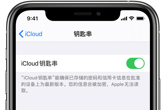 横沥镇苹果手机维修分享在 iPhone 上开启 iCloud 钥匙串之后会储存哪些信息 