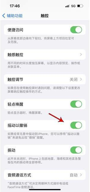 横沥镇苹果手机维修分享iPhone手机如何设置摇一摇删除文字 