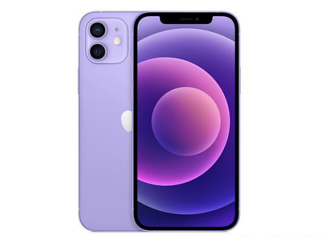 横沥镇苹果手机维修分享现阶段要不要入手紫色版iPhone12 