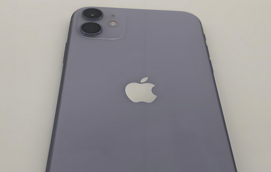横沥镇苹果11系统维修分享iPhone11手机系统崩溃无法开机如何解决 